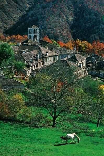 Peilivanidis photo